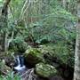 Jamberoo