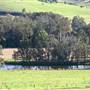 Jamberoo