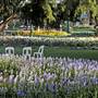 Bowral - Southern Highlands