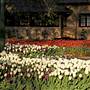 Bowral - Southern Highlands