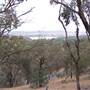 Wagga Wagga