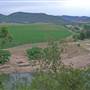 Broke vineyards