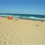 Narrabeen