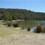 Narrabeen