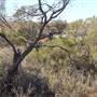 Broken Hill Area