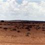 Broken Hill Area (Inc. Silverton)