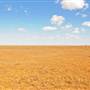 Broken Hill Area (Inc. Silverton)
