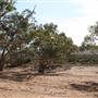 Broken Hill Surrounds
