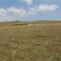 Brooks Point