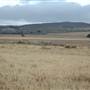 Bungendore Sand Mine