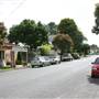 Burrawang - Southern Highlands