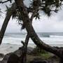 Cabarita Beach (Bogangar)