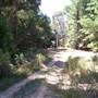Canobolas State Forest / Recreation Area