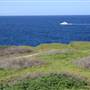 Cape Banks