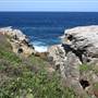 Cape Banks