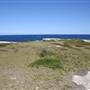 Cape Banks