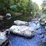 Canyon Park