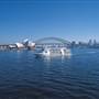 Captain Cook Cruises fleet