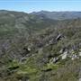Charlotte Pass