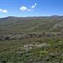 Charlotte Pass