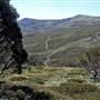 Charlotte Pass