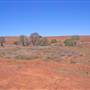 Cobar