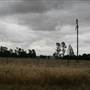 Collingullie