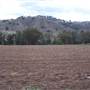 Coolah surrounds