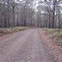 Coolah Tops National Park