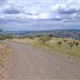 Coolah Tops National Park