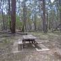 Coolah Tops National Park
