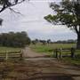 Coolah Tops National Park