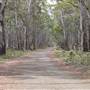 Coolah Tops National Park