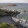 Crescent Head