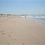 Cronulla Beach