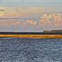 Culburra Beach