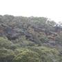 Currawong Beach Cottages