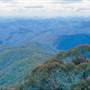 Dorrigo National Park