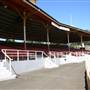 North Sydney Oval