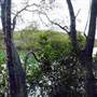 Northern Rivers Region