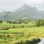 Northern Rivers Region