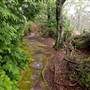 Everglades Gardens
