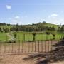 Calmsley Hill City Farm