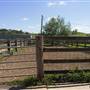 Calmsley Hill City Farm