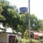 Calmsley Hill City Farm