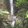 Falls Forest Retreat