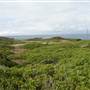 Point Stephens/Fingal Island / Fingal Point /Tomaree National Park