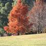 Morton National Park