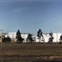 Forbes Wilson Group, nr Mildura