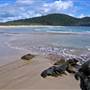 Forster and surrounds